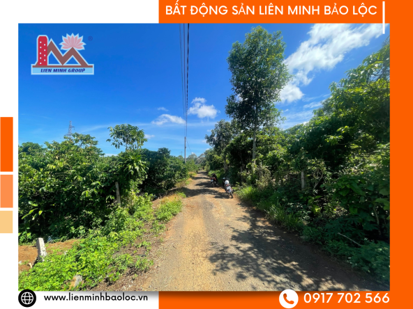 BLD1042 Bán Đất Đường Tránh QL20 - Lộc Sơn
