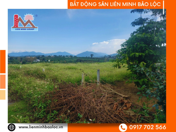 BLD1048-Bán Đất QL55 Lộc Thành Bảo Lâm