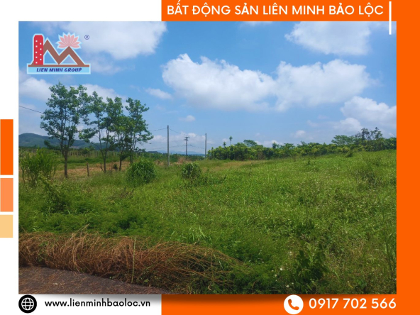 BLD1050-Bán Đất Lộc Tiến Bảo Lộc Giá Rẻ