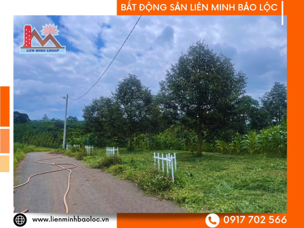 BLD1054-Đất Thổ Cư Tân Lạc Bảo Lâm Chỉ 550 Triệu