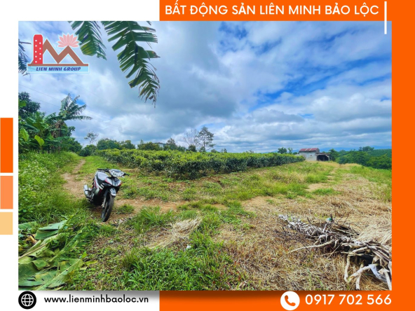 BLD1055-Đất Sào Đoàn Thị Điểm Lộc Thanh Bảo Lộc