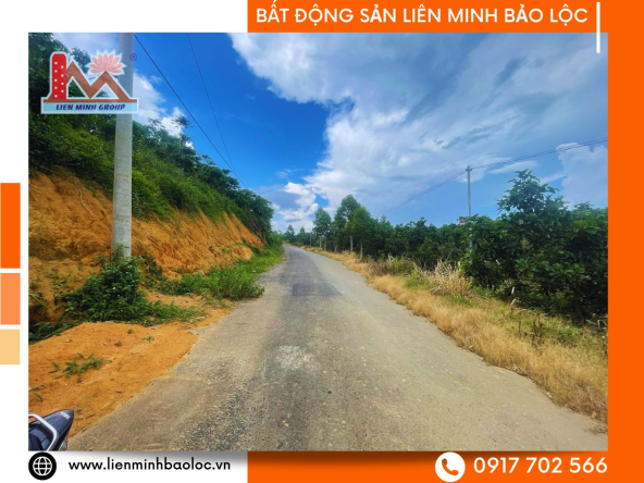 BLD1064-Đất Sào Sẵn Thổ Cư Tân Lạc Bảo Lâm