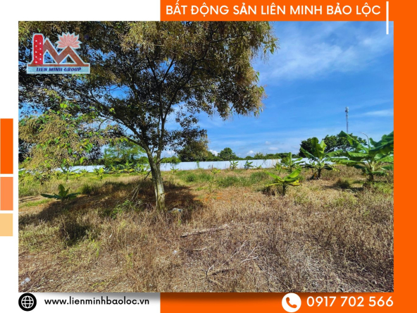 BLD1066-Đất Thổ Cư Lộc An Bảo Lâm