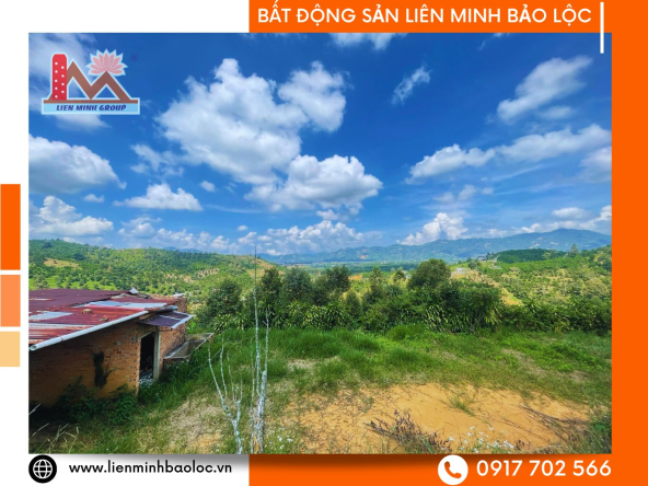 BLD1067-Đất Sào Thôn 1 Tân Lạc Bảo Lâm