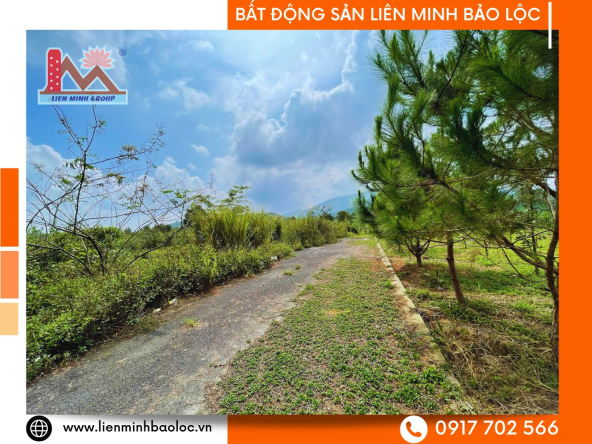 BLD1073-Đất Đường Tránh QL20 Lộc Châu Bảo Lộc