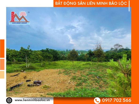 BLD1074-Bán Sỉ 5 Lô Đất Thôn 13 Lộc Thành Bảo Lâm