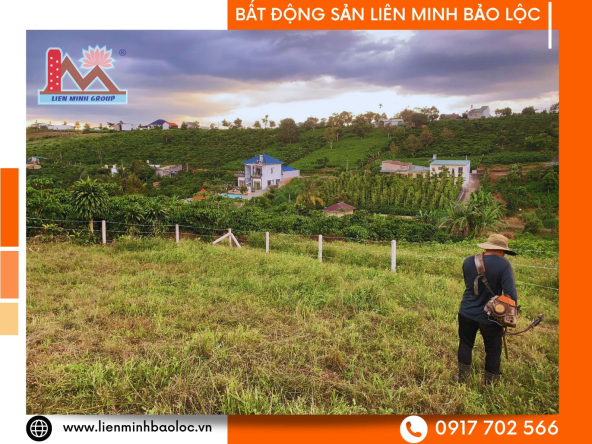 BLD1077-Bán 501m2 Đất Lộc Phát Bảo Lộc Chỉ 900 Triệu