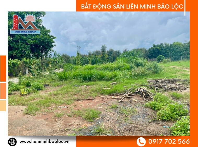 Bất động sản Bảo Lâm