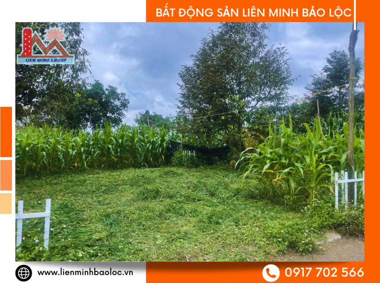 Bán đất xây dựng nhà giá rẻ tại Bảo Lâm