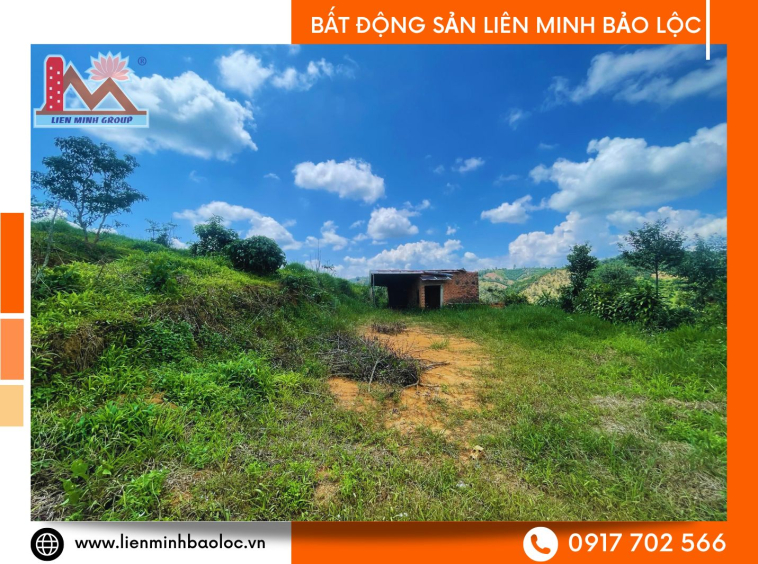 Bán đất Tân Lạc Bảo Lâm giá rẻ