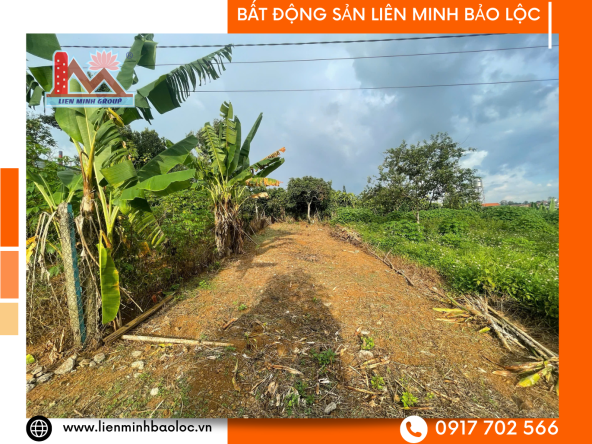 Đất Phan Đình Phùng