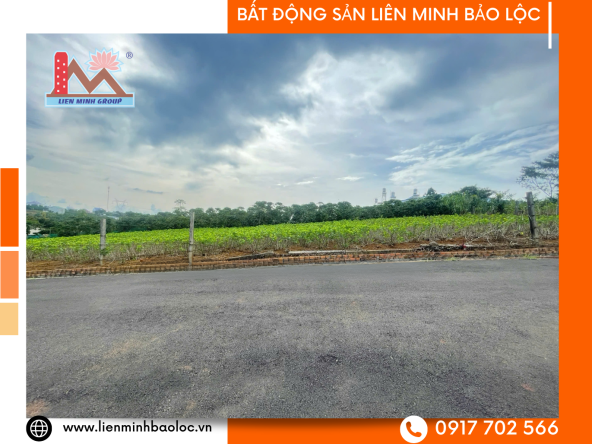 BLD1071 Bán Đất Trần Tế Xương - DAMBRI