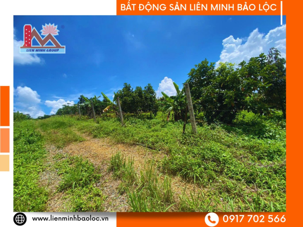 BLD1084-Đất Sào Lộc Tiến Bảo Lộc