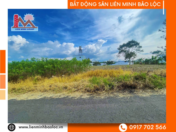 BLD1090-Đất Full Thổ Cư Trần Tế Xương Đambri Bảo Lộc