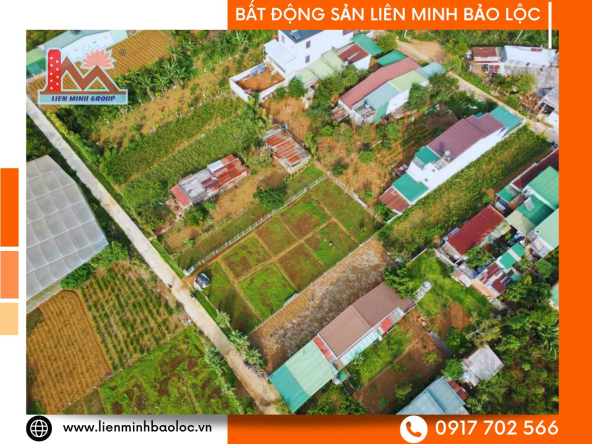 BLD1092-Đất Lý Thái Tổ Đambri Bảo Lộc