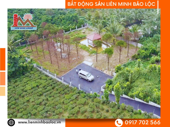 BLD1098-Đất Lê Phụng Hiểu Lộc Châu Bảo Lộc