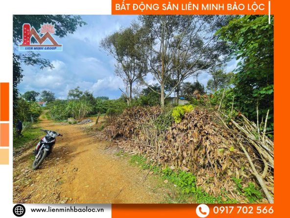 BLD1101-Đất Chi Lăng Lộc Sơn Bảo Lộc