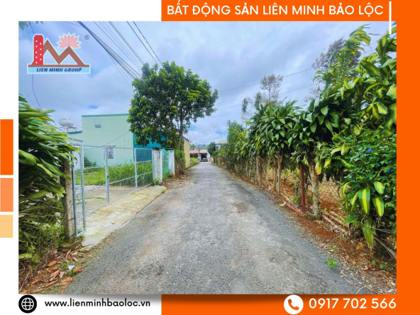 BLD1102-Đất Thổ Cư Trung Tâm BLao Bảo Lộc