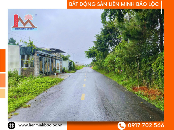 BLD1106-Đất Trần Tế Xương Đambri Bảo Lộc