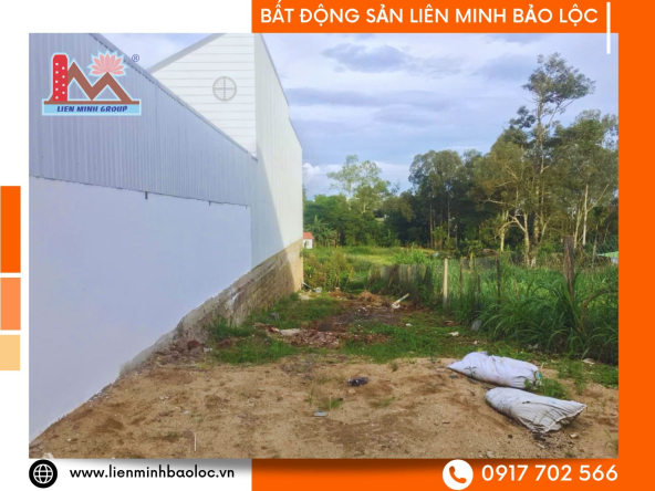 BLD1117-Đất Thổ Cư Tuệ Tĩnh Lộc Sơn Bảo Lộc