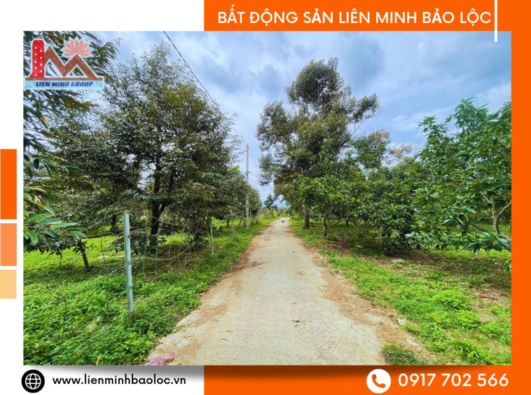 Bán đất vườn Di Linh giá rẻ