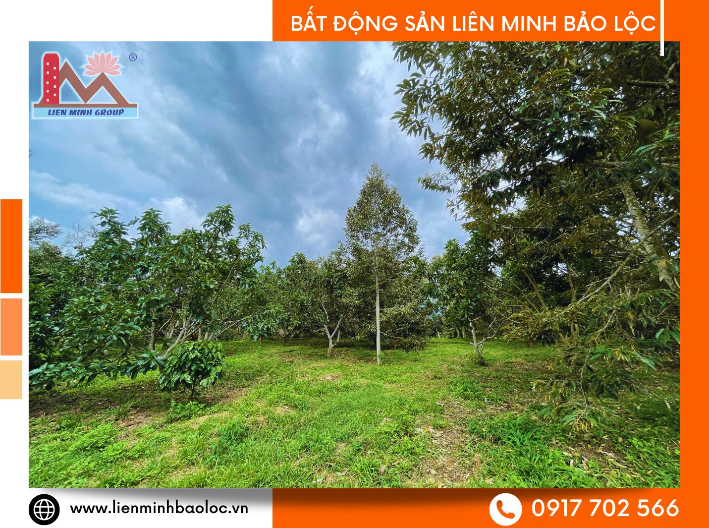 Bán đất vườn Bảo Lộc giá rẻ