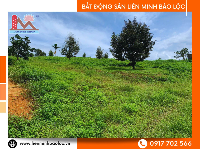 Đất vườn Bảo Lâm giá rẻ