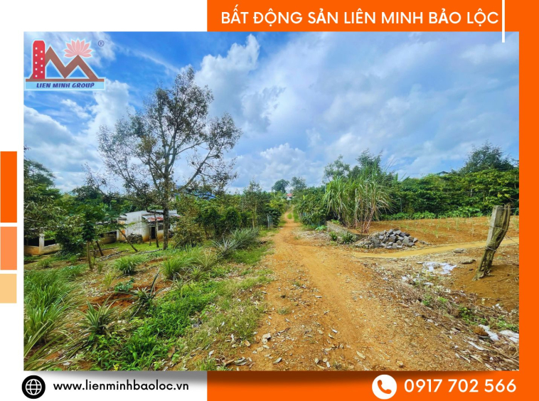 Đất thổ cư Bảo Lộc hơn 800m2