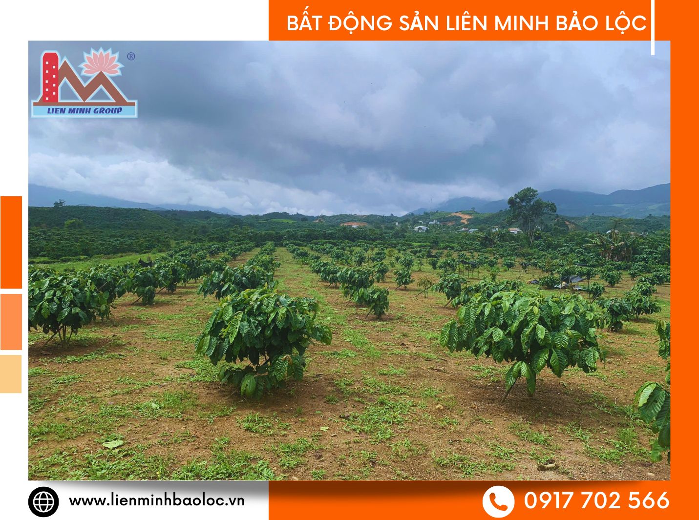 Mua bán đất vườn đất sào Bảo Lộc