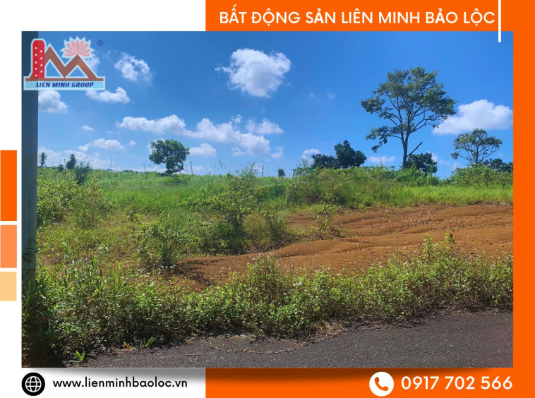 Bất động sản Bảo Lộc giá rẻ
