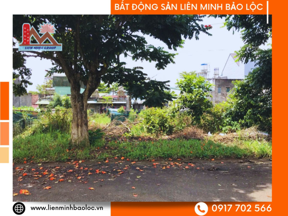 BLD1123-Đất Thổ Cư Tố Hữu Lộc Sơn Bảo Lộc