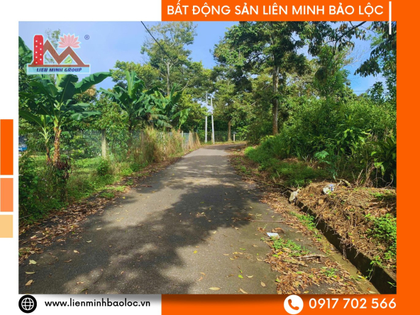 BLD1124-Đất Thổ Cư Âu Cơ Tân Lạc Bảo Lâm