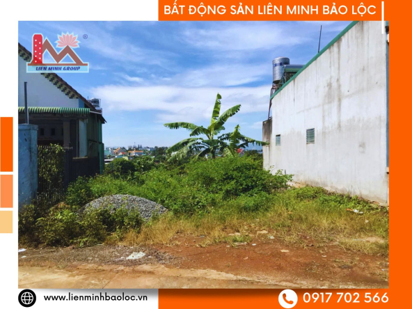 BLD1125-Đất Lý Thái Tổ Đambri Bảo Lộc