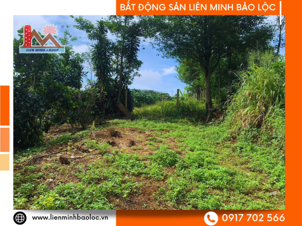 BLD1140-Đất Sào Nguyễn Văn Cừ Lộc Phát Bảo Lộc