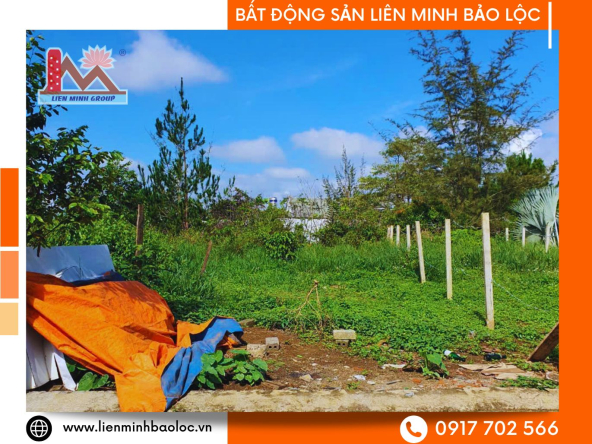 BLD1141-Đất Nguyễn Đình Chiểu Lộc Phát Bảo Lộc