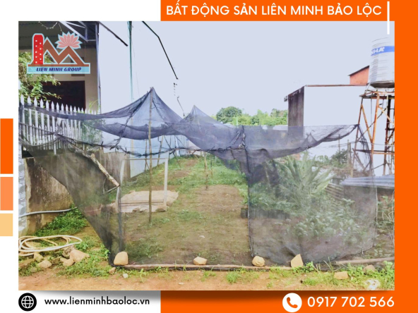 BLD1156-Đất Gần QL20 Lộc Châu Bảo Lộc 790 Triệu