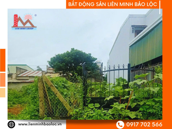 BLD1157-Đất Thổ Cư Trần Hưng Đạo Bảo Lộc