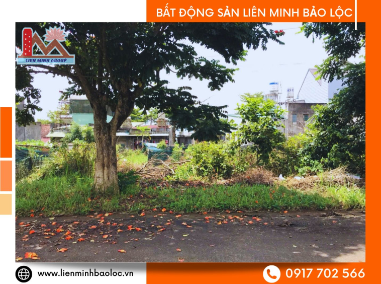 Đất thổ cư khu dân cư Bảo Lộc