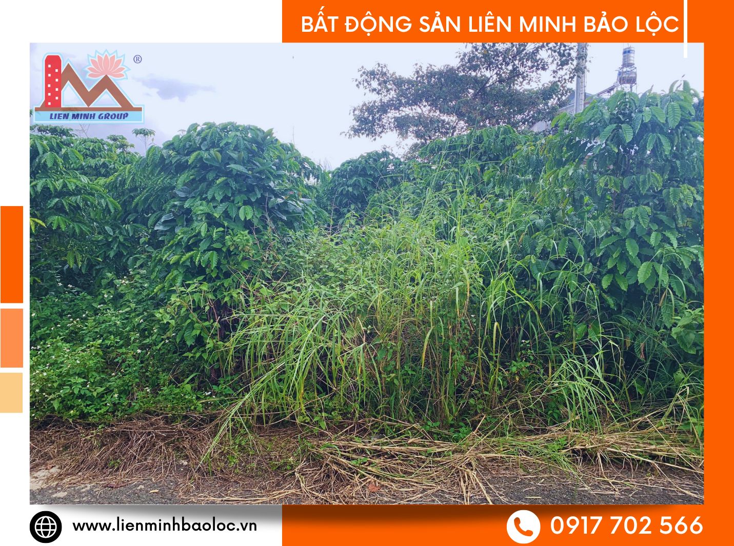 Bán đất Bảo Lộc giá rẻ