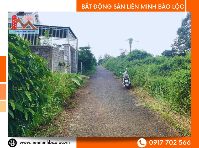 Bất động sản Bảo Lộc giá rẻ