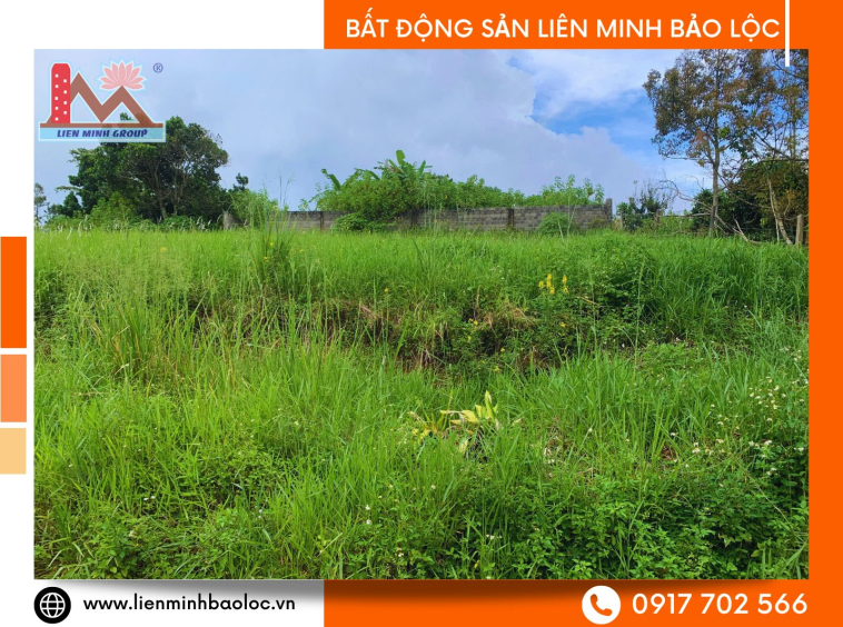 Bất động sản Bảo Lộc giá rẻ
