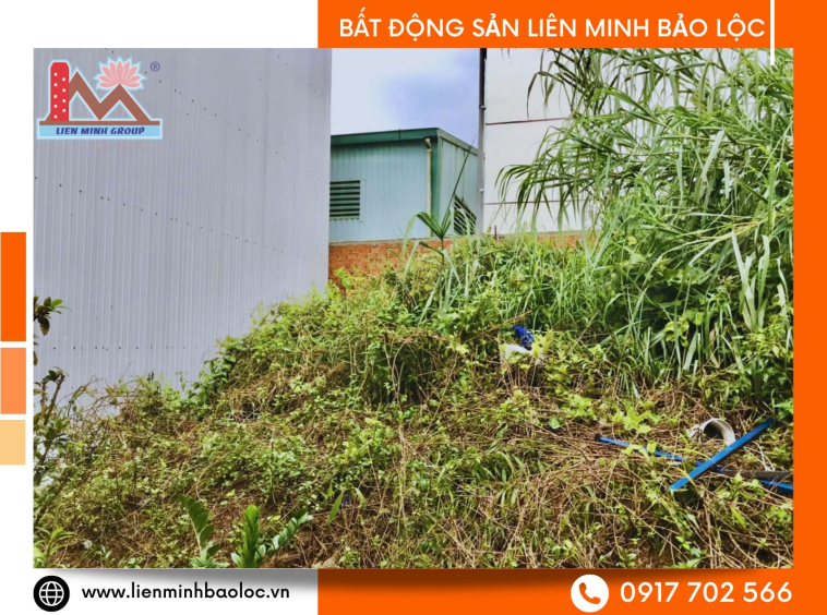 Đất trung tâm phường 2 bảo Lộc