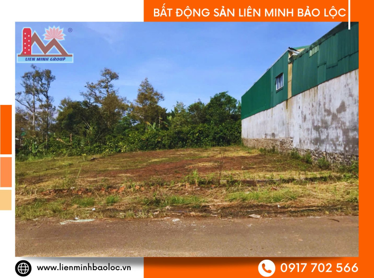 Đất Bảo Lộc giá rẻ