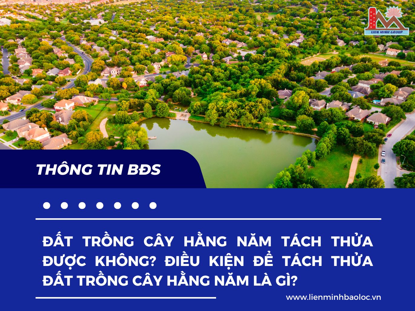 Đất trồng cây hằng năm tách thửa được không?