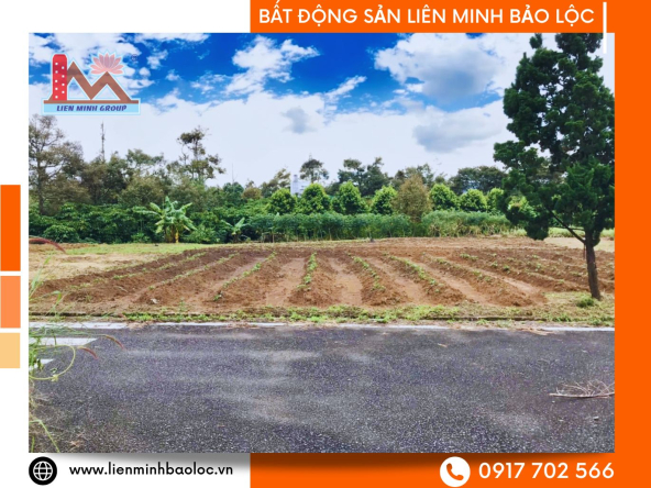 BLD1163-Đất Trần Hưng Đạo Lộc Sơn Bảo Lộc