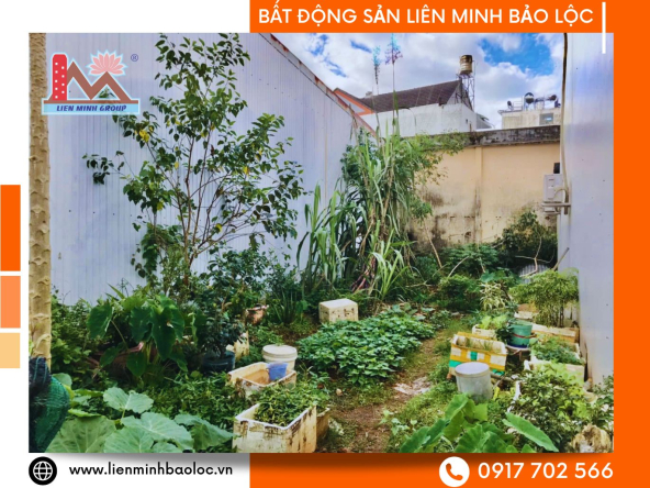 BLD1165-Đất Nguyễn Công Trứ Phường 2 Bảo Lộc