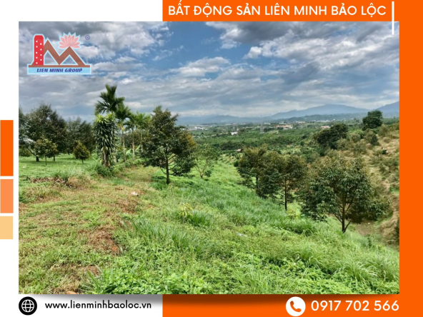 BLD1170-Đất Sào Thôn 15 Lộc Thành Bảo Lâm