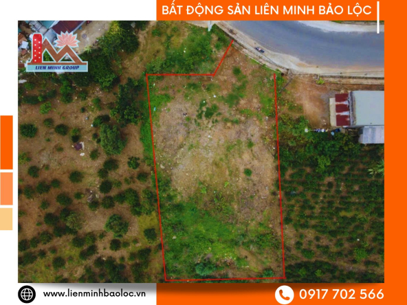 BLD1171-Đất Mặt Tiền BlaoSire Đại Lào Bảo Lộc