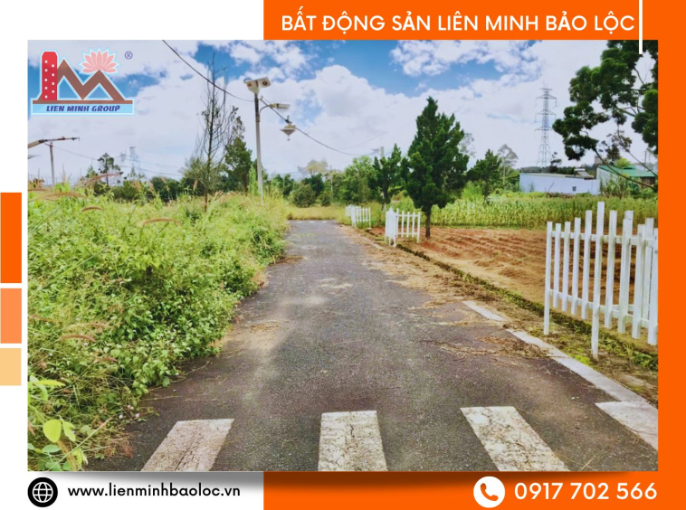 Bất động sản Bảo Lộc giá rẻ