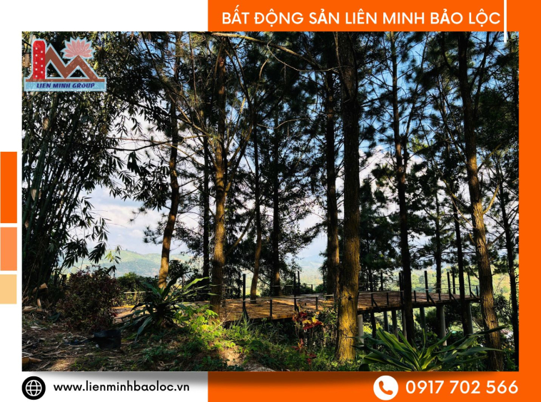 Đất nghỉ dưỡng Lộc Thành Bảo Lâm